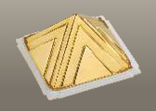 V-Pro Car Protect Gold