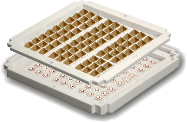 Flat Max Gold (FMG)
