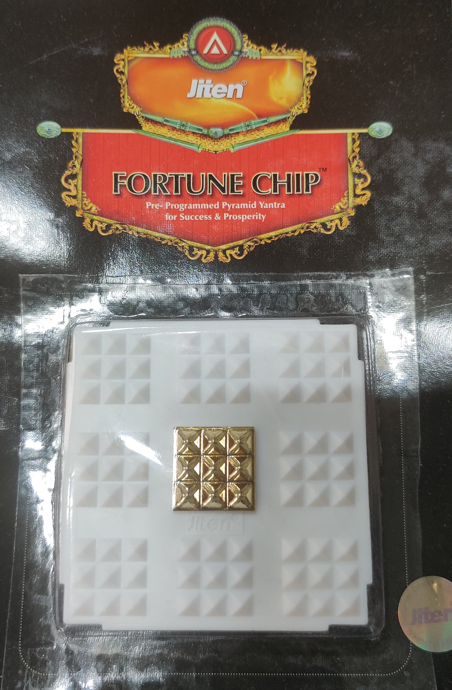 Fortune Chip
