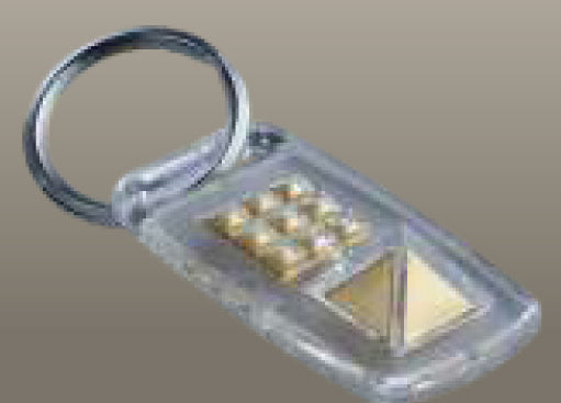 Fortune Key Chain